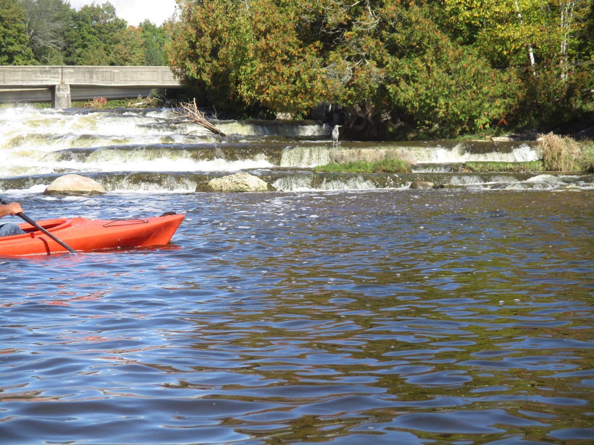 Sauble River Marina And Lodge Resort Sauble Beach Esterno foto